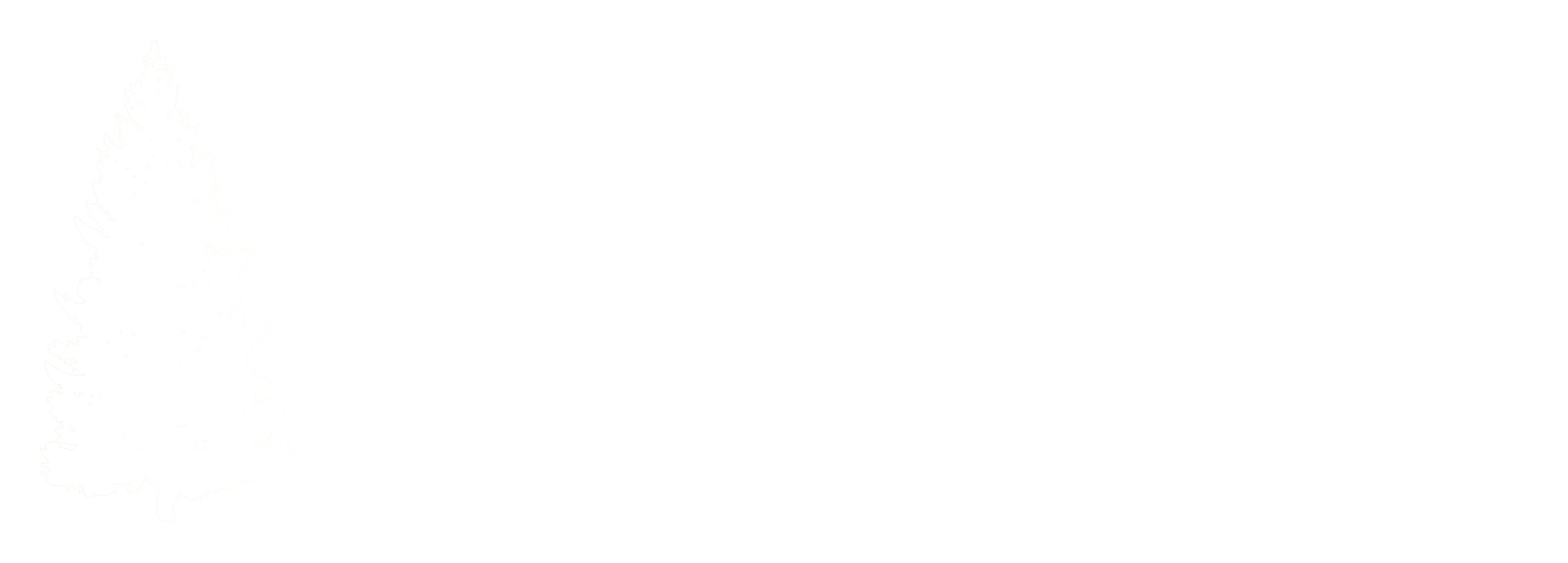 Cedar Flooring