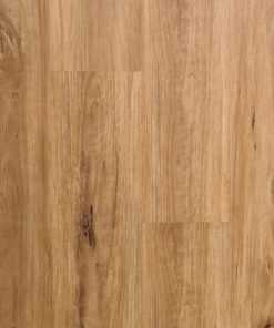 Coastal-Blackbutt Flooring