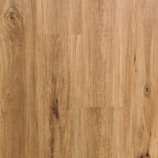 Coastal-Blackbutt Flooring