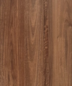 Queensland Spotted Gum