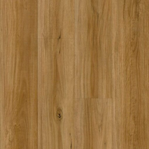 BLACKBUTT Flooring