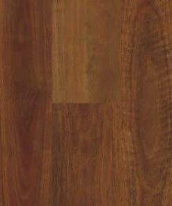 Northern Spotted Gum