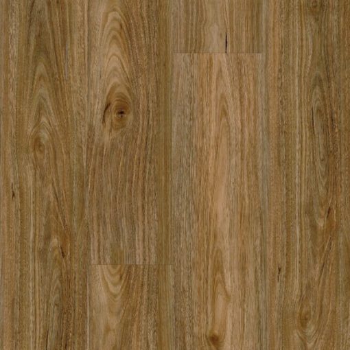 SPOTTED GUM Flooring